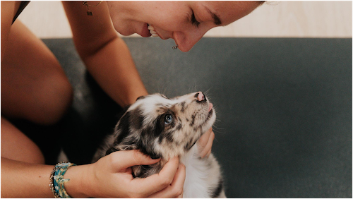 Puppy With Yoga à Caluire-et-Cuire