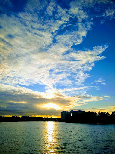 Movie Theater «AMC Altamonte Mall 18», reviews and photos, 433 E Altamonte Dr, Altamonte Springs, FL 32701, USA