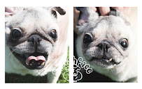 Squishface - Photo 1 - Car repair in Henderson, NV, Henderson