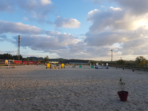 Poney club Du Voulgis à Ozouer-le-Voulgis, Seine-et-Marne