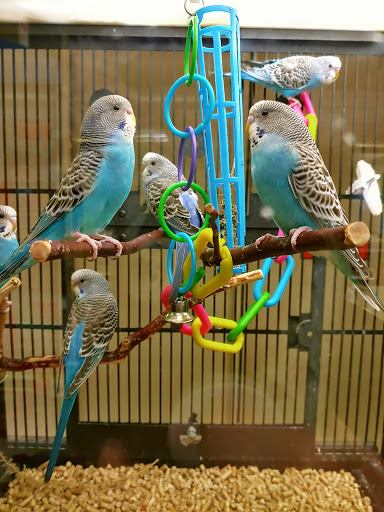 Pet Supply Store «PetSmart», reviews and photos, 13241 Gateway Center Dr, Gainesville, VA 20155, USA