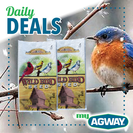 Pet Supply Store «Agway North Branford», reviews and photos, 11 Whitewood Ln, North Branford, CT 06471, USA