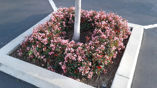 Department Store «Target», reviews and photos, 800 New Los Angeles Ave, Moorpark, CA 93021, USA