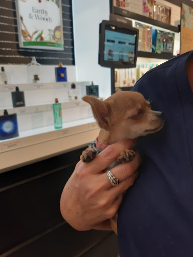 Cosmetics Store «SEPHORA», reviews and photos, 7479 N Kendall Dr, Miami, FL 33156, USA