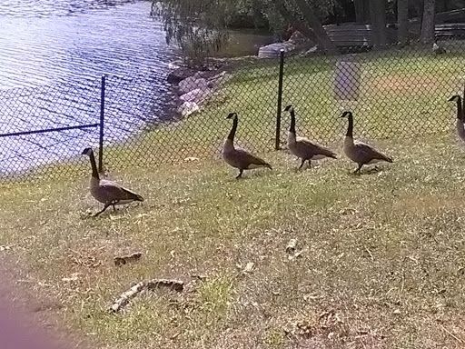 Arts Organization «Arts on the Lake», reviews and photos, 640 NY-52, Carmel, NY 10512, USA