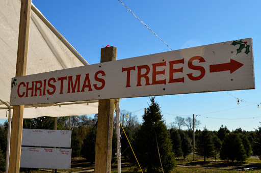 Christmas Tree Farm «Piney Acres», reviews and photos, 1115 E 1000 N, Fortville, IN 46040, USA
