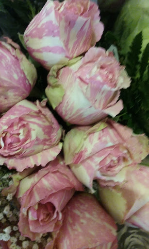 Grocery Store «Super Stop & Shop», reviews and photos, 70 Mendon Road, Cumberland, RI 02864, USA