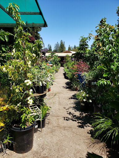 Garden Center «Ladera Garden & Gifts», reviews and photos, 3130 Alpine Rd #380, Portola Valley, CA 94028, USA