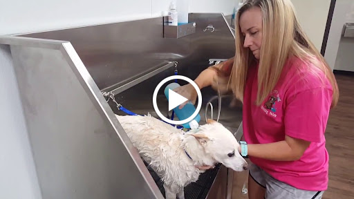 Pet Groomer «U Dirty Dog», reviews and photos, 232 Stevens Entry, Peachtree City, GA 30269, USA