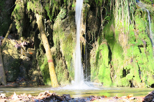 Grocery Store «Natural Bridge General Store», reviews and photos, 593 Wert Faulkner Hwy, Natural Bridge Station, VA 24579, USA