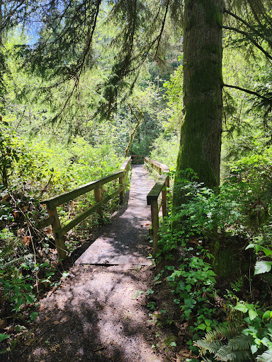 Residential Roofing Marysville