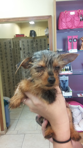 Pet Supply Store «Lil Rascals», reviews and photos, 10035 Gulf Center Dr #105, Fort Myers, FL 33913, USA