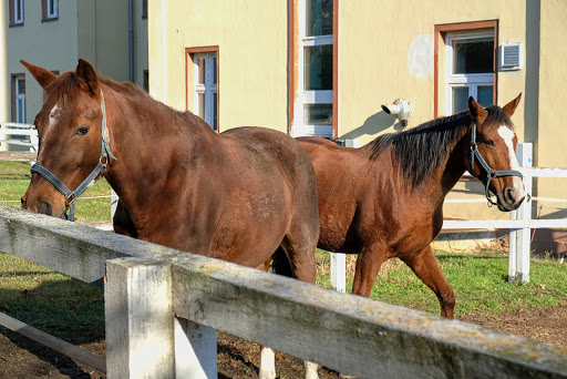 Veterinární univerzita Brno