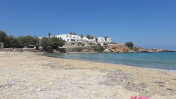 Φωτογραφία του Delfini beach και η εγκατάσταση