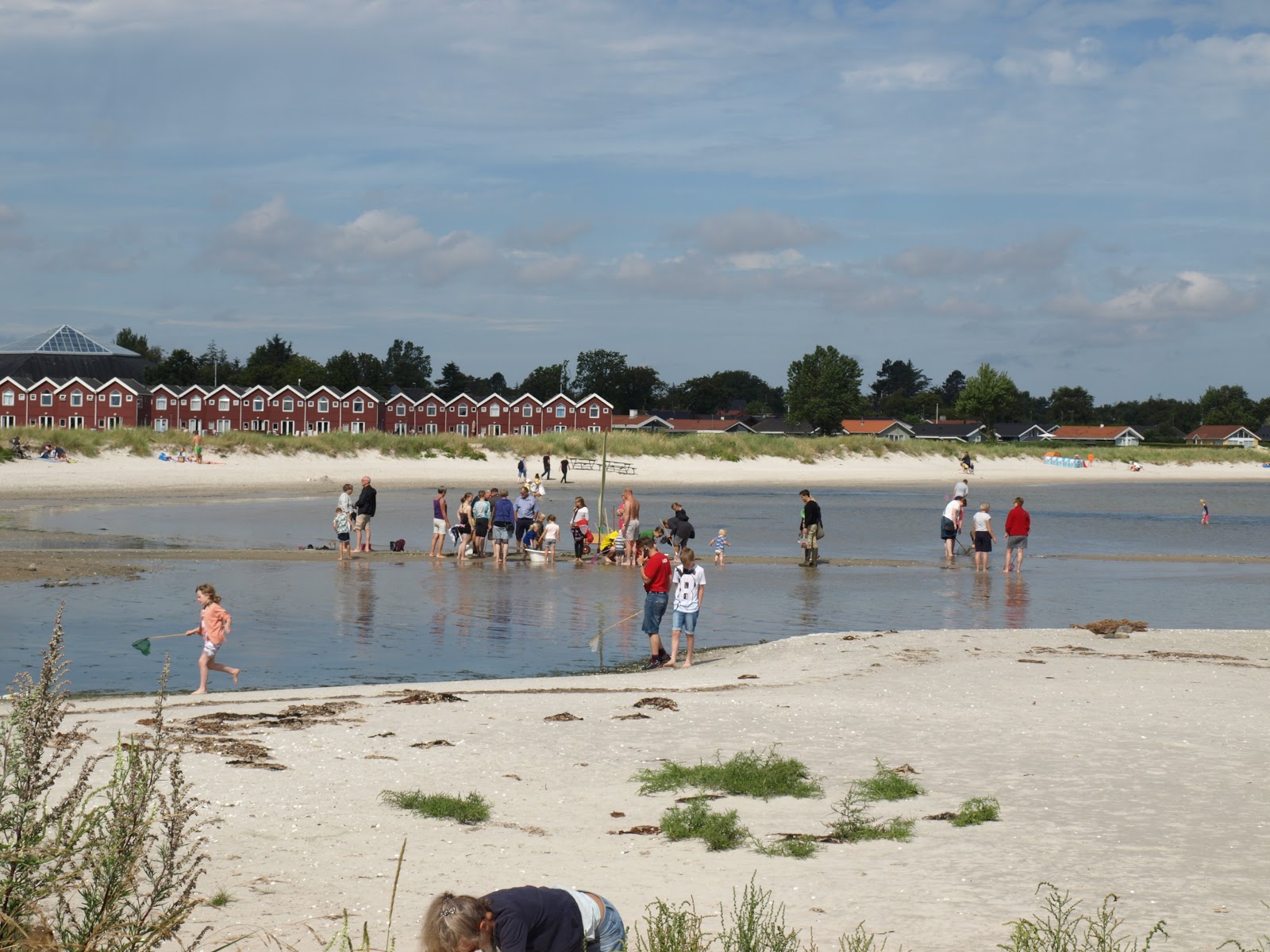 Oster Hurup Beach photo #8