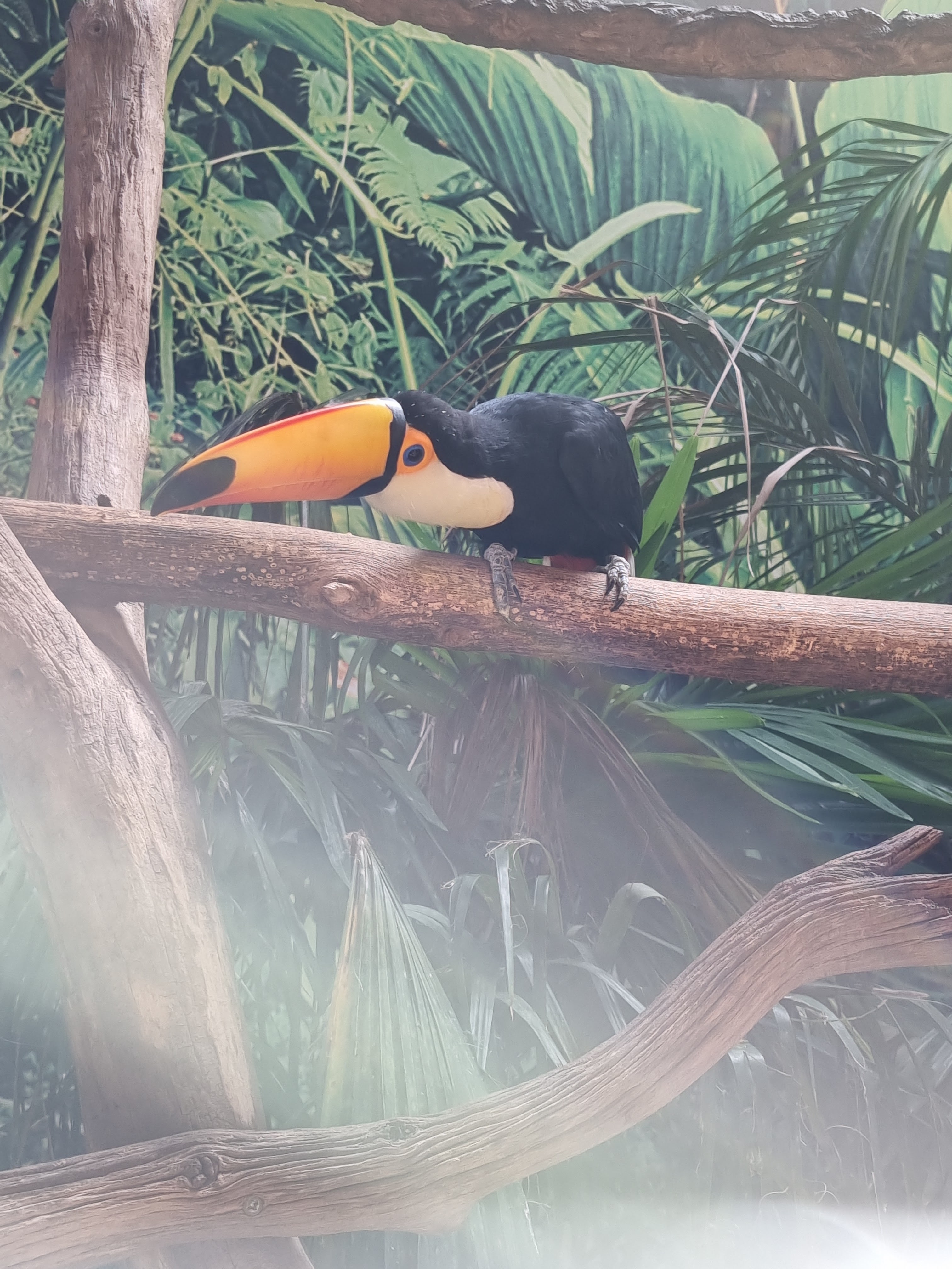 Photo n° 10 de l'avis de alexandre.o fait le 25/08/2022 à 15:51