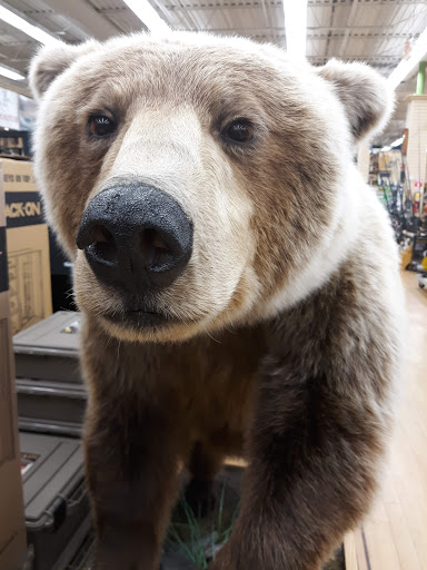 Outdoor Sports Store «Ramsey Outdoor Store», reviews and photos, 281 NJ-10, Succasunna, NJ 07876, USA