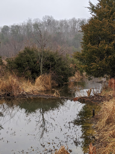 Park «Smith Lake Park», reviews and photos, 370 Doc Stone Rd, Stafford, VA 22556, USA