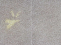 CrossHope Cleaning, LLC - Photo 7 - Car repair in Denton, TX, Denton