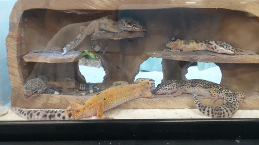 Pet Supply Store «Petco Animal Supplies», reviews and photos, 1250 William D Tate Ave #200, Grapevine, TX 76051, USA