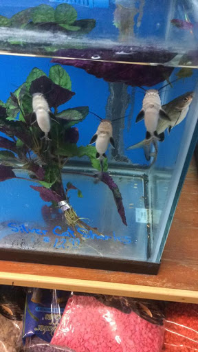 Pet Supply Store «Family Pet Store», reviews and photos, 38 Starrett Dr, Belfast, ME 04915, USA