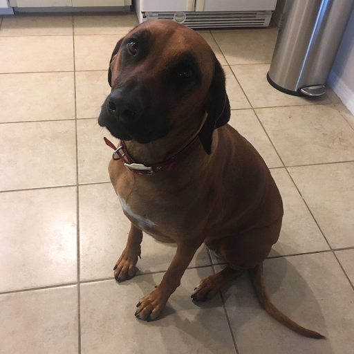 Vitamin & Supplements Store «For Goodness Sake», reviews and photos, 9118 Bonita Beach Rd SE, Bonita Springs, FL 34135, USA