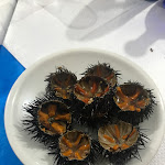 Photo n°1 de l'avis de giuseppe.l fait le 09/09/2021 à 01:53 sur le  Ricciolandia à Torre Canne