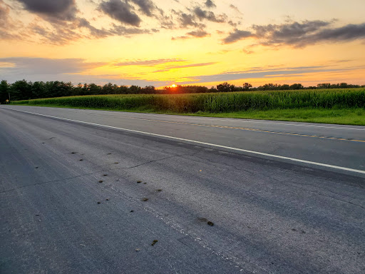 Florist «Bobola Farm & Florist», reviews and photos, 5268 Forrest Ave, Dover, DE 19904, USA