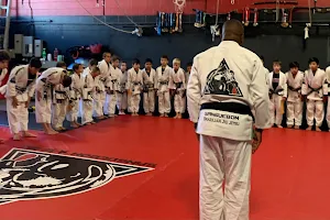 Burlington Academy of Martial Arts - Sanguebom Jiu Jitsu image