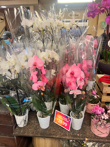 Supermarket «Wegmans», reviews and photos, 200 Boylston St, Chestnut Hill, MA 02467, USA