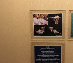 Phuket Seashell Museum photo