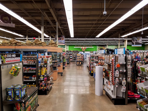 Pet Supply Store «Petco Animal Supplies», reviews and photos, 1320 Lincoln Way E #20, Chambersburg, PA 17202, USA