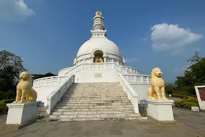 Vishwa Shanti Stupa image