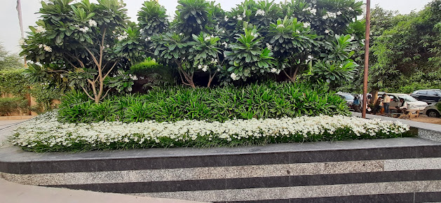 Google Maps image 16