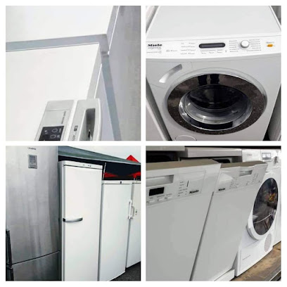 skalbimo mašinų remontas Plungėje