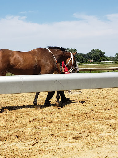 Event Venue «JACK Thistledown Racino», reviews and photos, 21501 Emery Rd, North Randall, OH 44128, USA