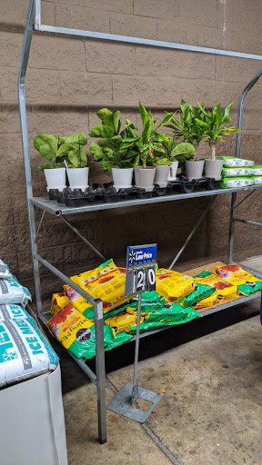 Stores to buy artificial plants Pittsburgh
