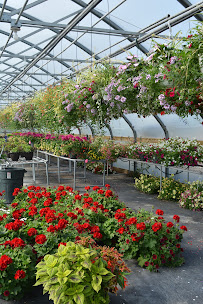 McKay Garden Center - Oregon - Photo 8 - Car repair in Oregon, WI, Madison