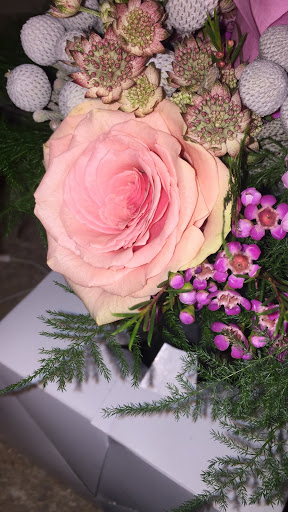 Florist «Mariposa Plants And Flowers», reviews and photos, 801 8th St #110, Greeley, CO 80631, USA