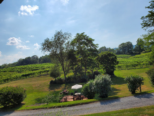 Vineyard «North Mountain Vineyard and Winery», reviews and photos, 4374 Swartz Rd, Maurertown, VA 22644, USA