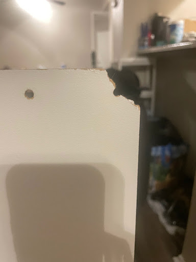 Moving Company «Interstate Moving / Relocation / Logistics», reviews and photos, 5801 Rolling Rd, Springfield, VA 22152, USA