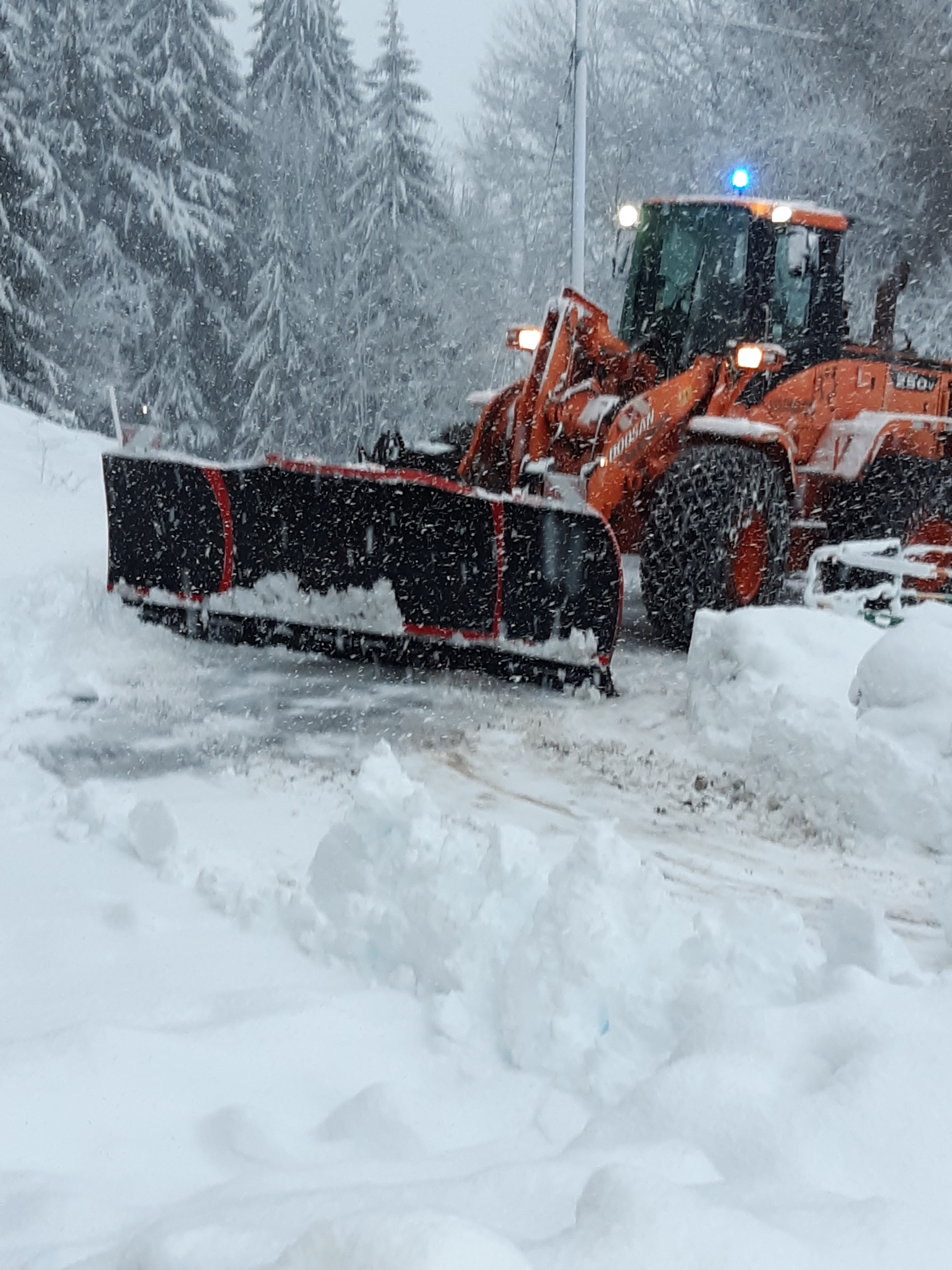 Photo n° 2 de l'avis de tihnga.b fait le 27/12/2019 à 08:36