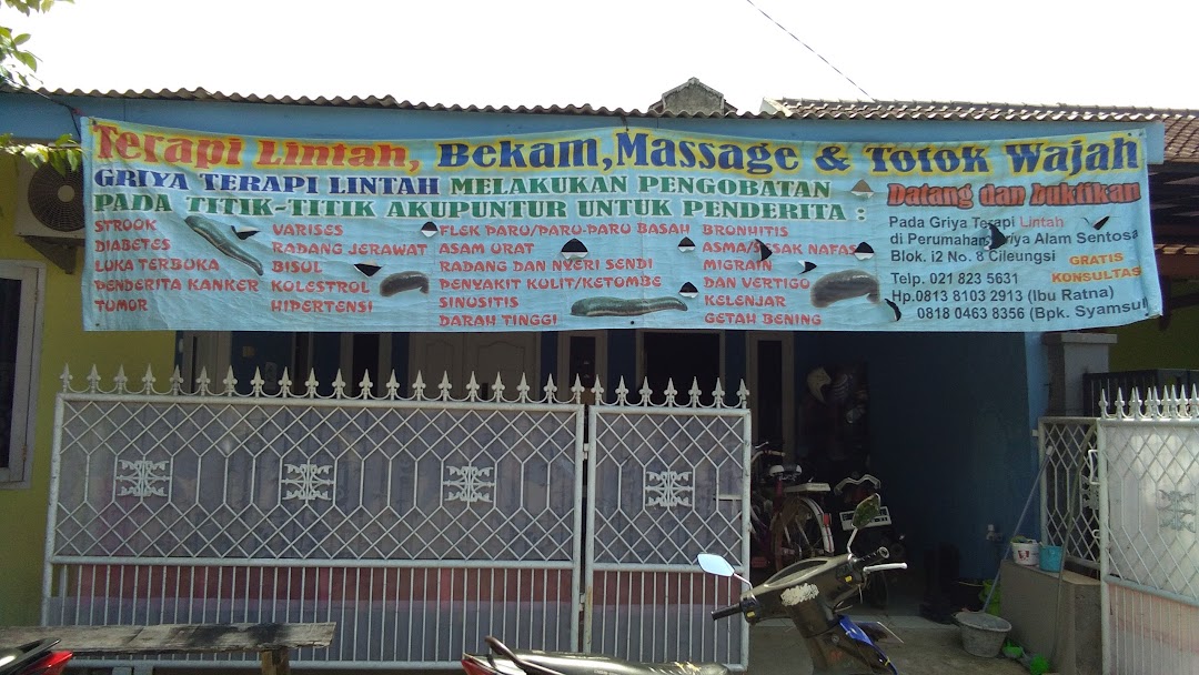 Griya Terapi Lintah