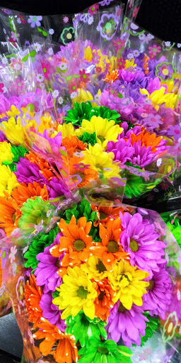 Grocery Store «Winn-Dixie», reviews and photos, 981 US-98, Destin, FL 32541, USA