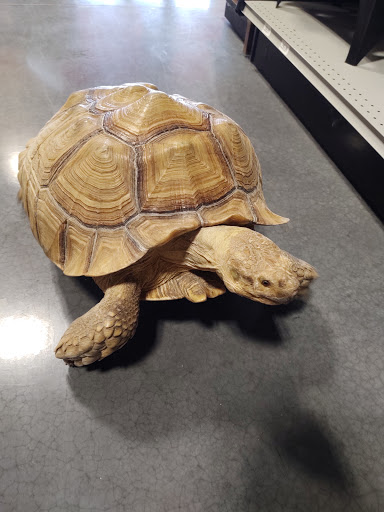 Pet Groomer «We Lov Pets», reviews and photos, 3853 Northpointe Dr, Zanesville, OH 43701, USA