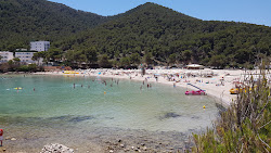 Cala Llonga Plajı'in fotoğrafı geniş ile birlikte