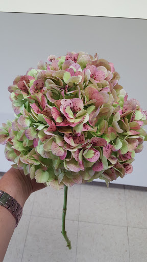 Florist «Floral Dimensions», reviews and photos, 3401 University Dr, Durham, NC 27707, USA