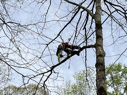 Rig Line Tree Service