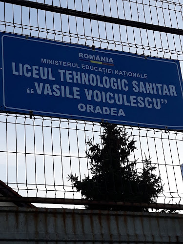 Liceul Tehnologic Sanitar ”Vasile Voiculescu” - Școală