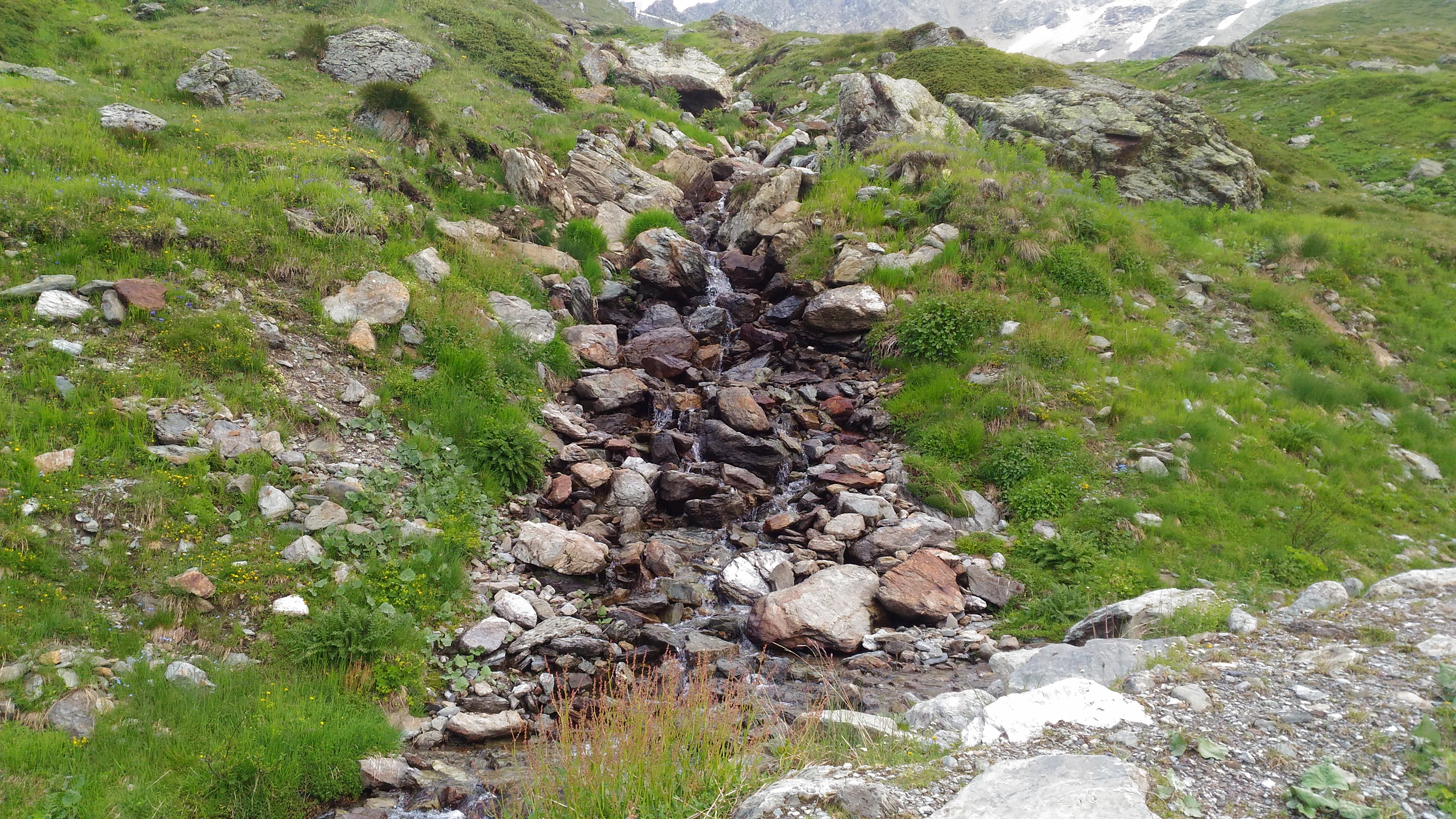 Photo n° 28 de l'avis de CHRIST. fait le 25/07/2018 à 18:05